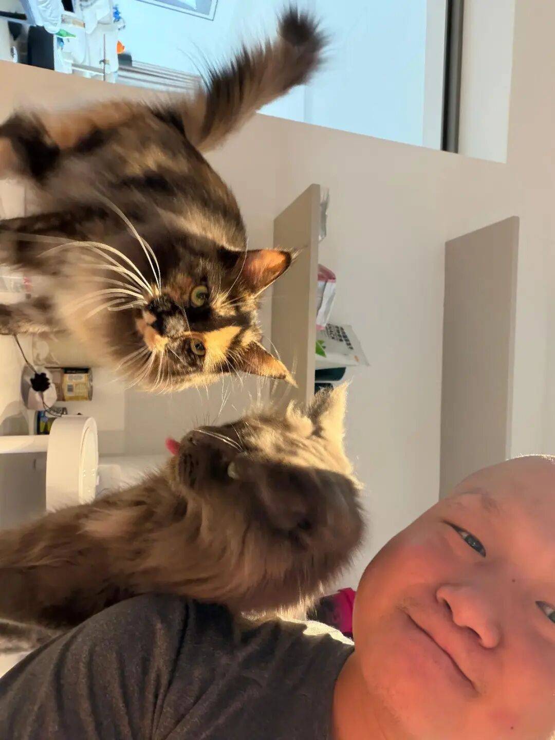 强掳马杜罗，美国花之近30亿美元